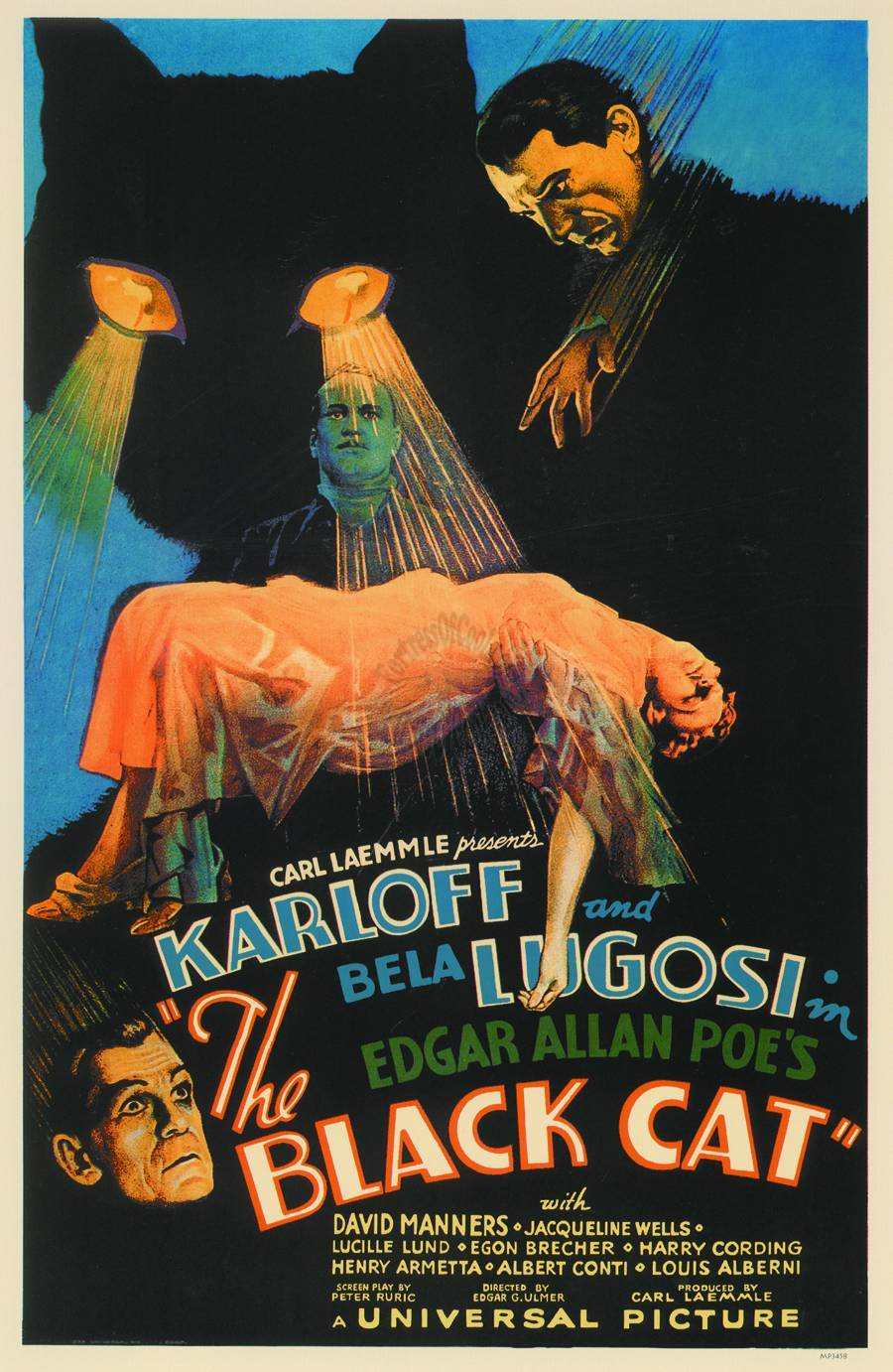 THE BLACK CAT MOVIE MASTERPRINT