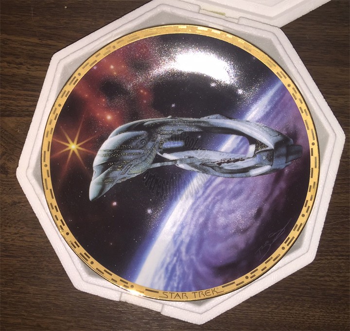 Romulan Warbird ~ Star Trek 'The Voyagers' Series Plate Collection