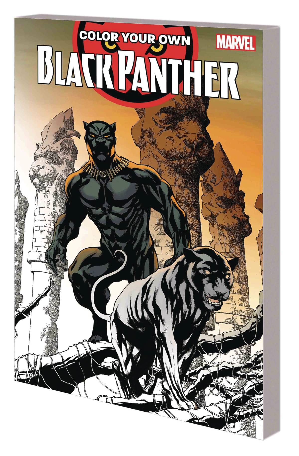 COLOR YOUR OWN BLACK PANTHER TPB