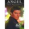 ANGEL THE HOLLOWER TPB (1st Print)