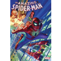AMAZING SPIDER-MAN #1 BY ALEX ROSS POSTER