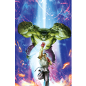 GENERATIONS BANNER HULK & TOTALLY AWESOME HULK #1 MARVEL VS CAPCOM VARIANT