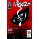THE AMAZING SPIDER-MAN #612