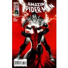 THE AMAZING SPIDER-MAN #613