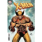 UNCANNY X-MEN #11 LIEFELD VARIANT