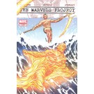 THE MARVELS PROJECT #1 Limited (1 for 25) Variant Cover by Steve Mc Niven