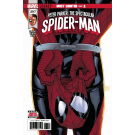 PETER PARKER SPECTACULAR SPIDER-MAN #297 LEGACY