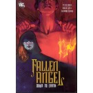 FALLEN ANGEL TPB VOL 02 DOWN TO EARTH (First Print)