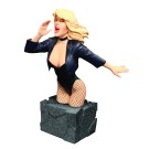 WOMEN OF THE DC UNIVERSE BLACK CANARY BUST