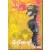 GASARAKI VOL 8 DVD TO BE A KAI - NEW - SEALED