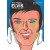 MIGHTY ELVIS A GRAPHIC BIOGRAPHY HARDCOVER GN 