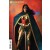 WONDER WOMAN #768 CARD STOCK JOSHUA MIDDLETON VARIANT ED